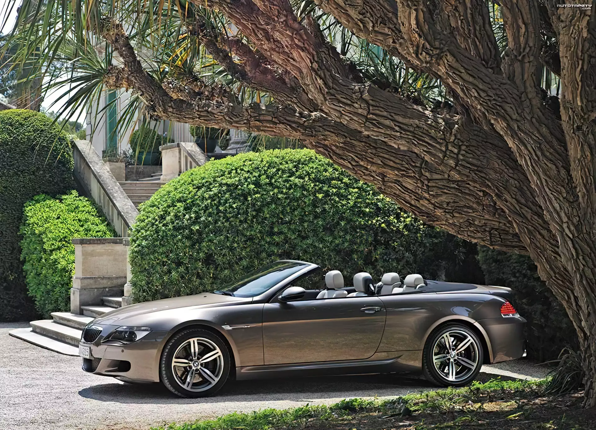 BMW E63, Kabriolet
