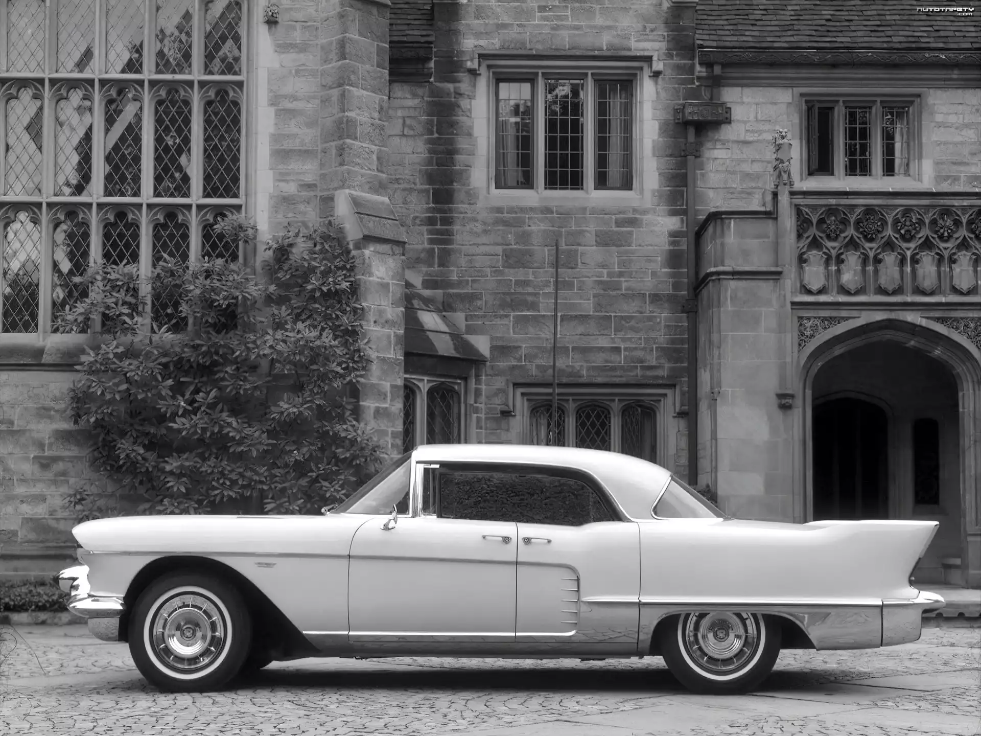 Cadillac Eldorado, Skrzydła