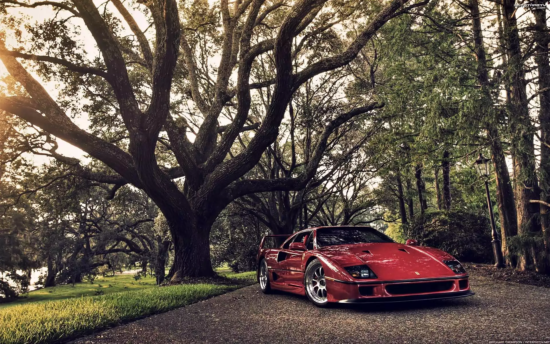 Ferrari F40, Drzewa