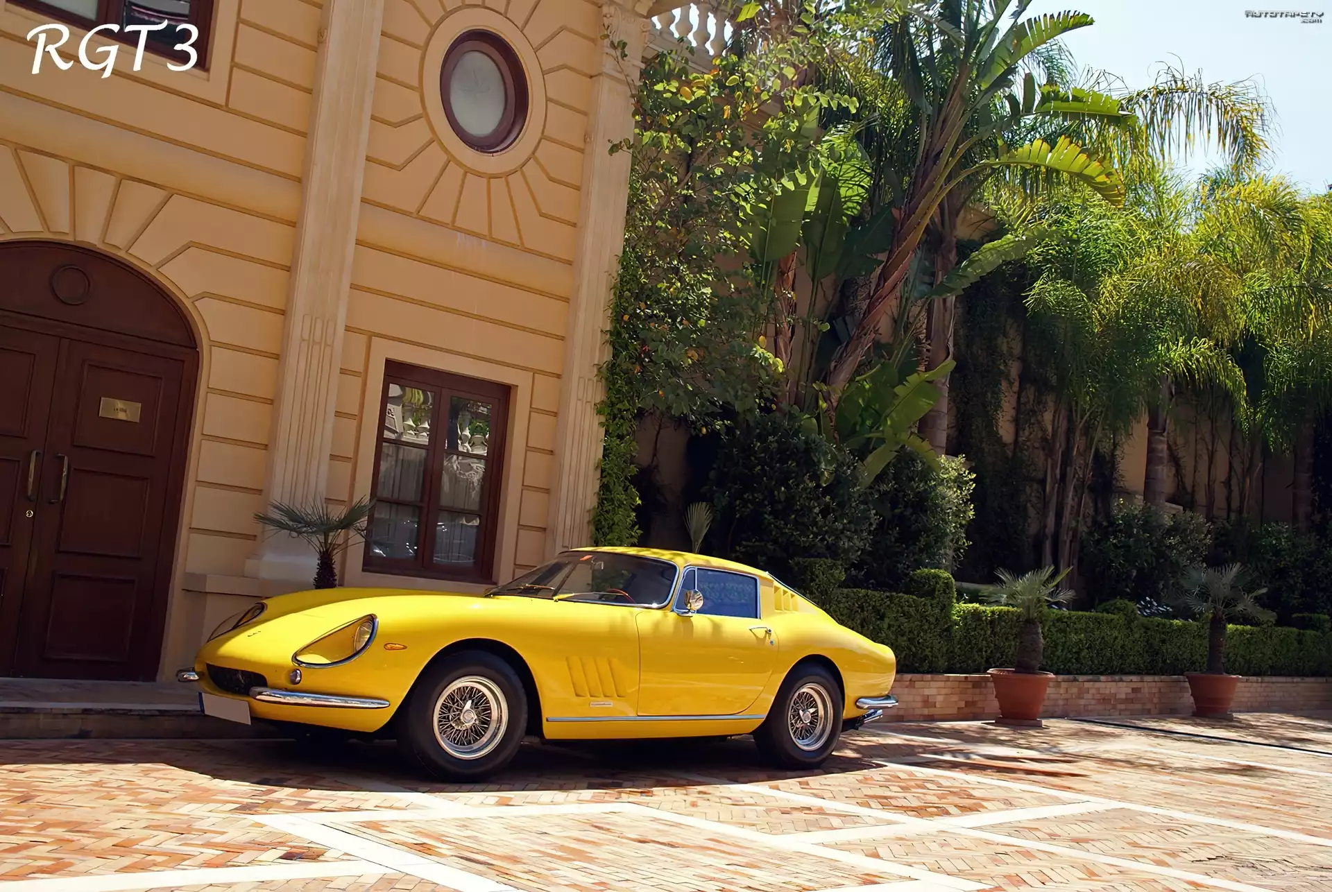 Żółte, Lewy, Bok, Ferrari 275