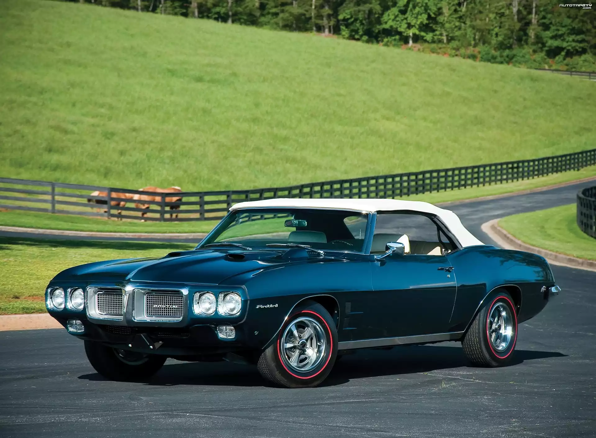 Pontiac Firebird, Cabriolet