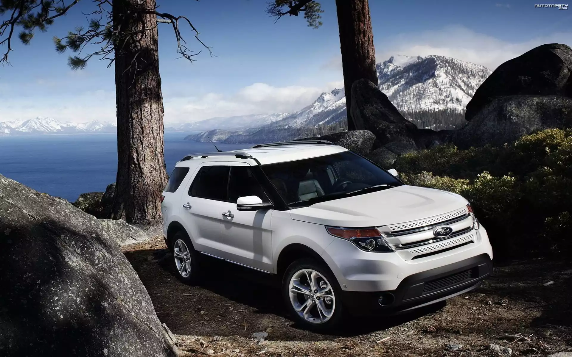 Ford Explorer, Góry, Skały, Drzewa