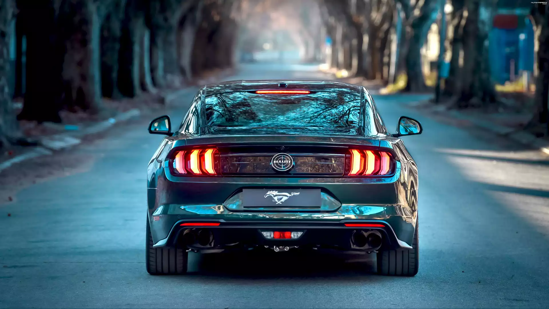 Ford Mustang Bullitt, Droga, Drzewa