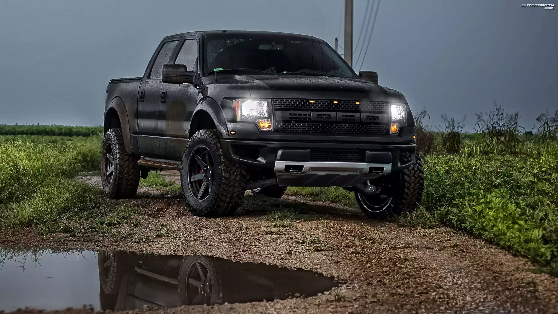 Ford, Ford F150