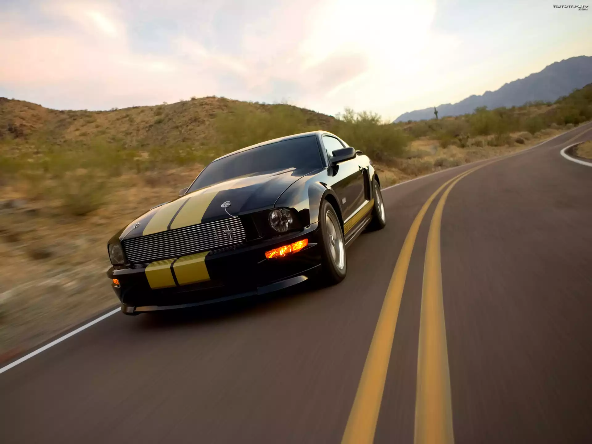 Ford Mustang Shelby GT, Droga