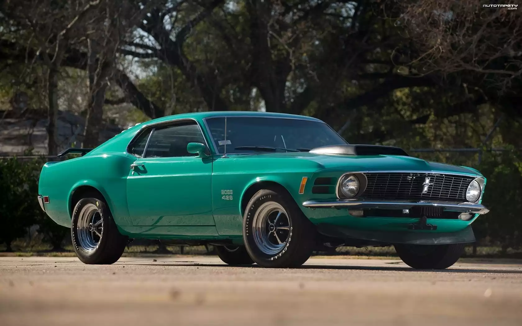 Zabytkowy, Ford, Mustang
