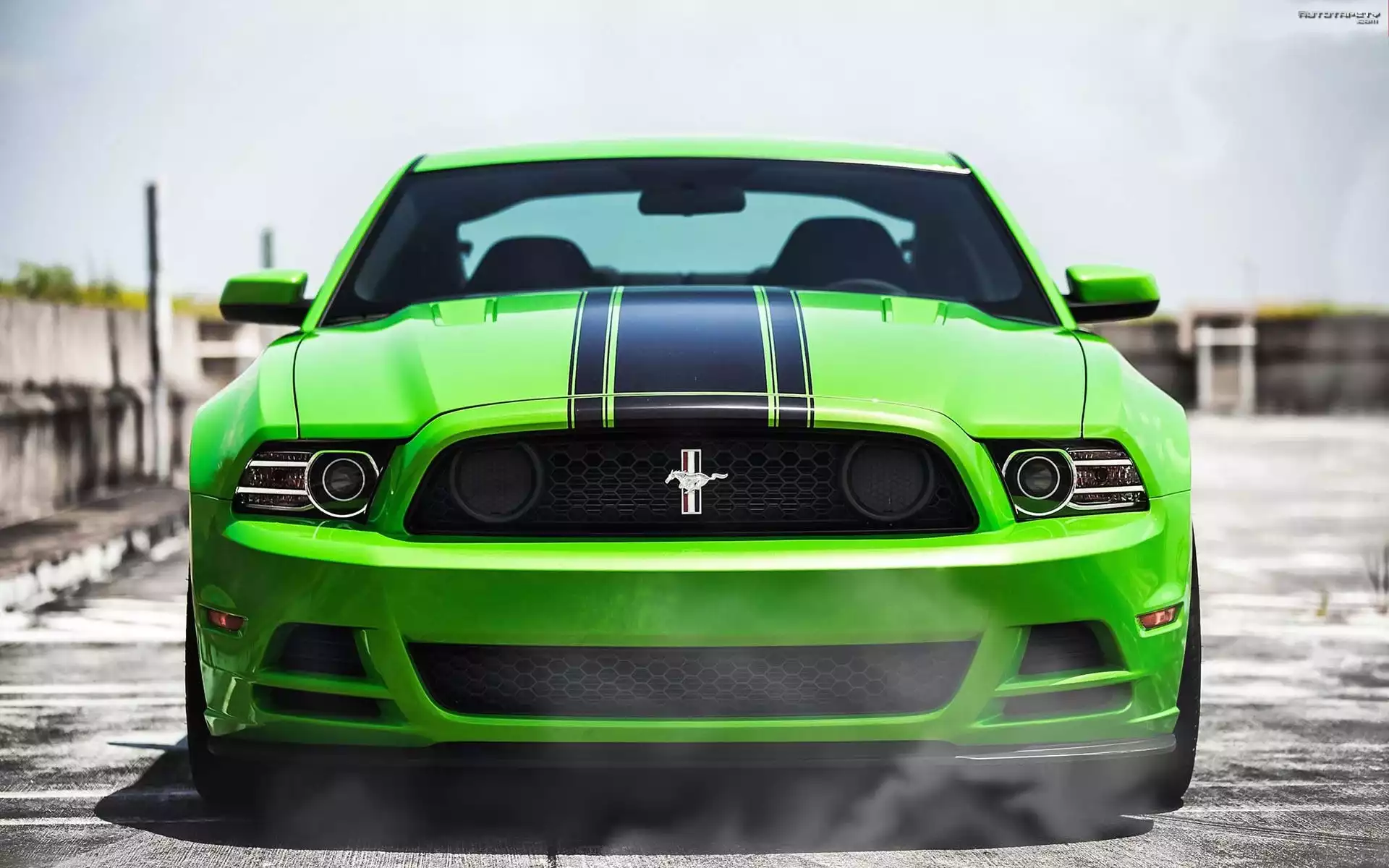 Zielony, Ford, Mustang