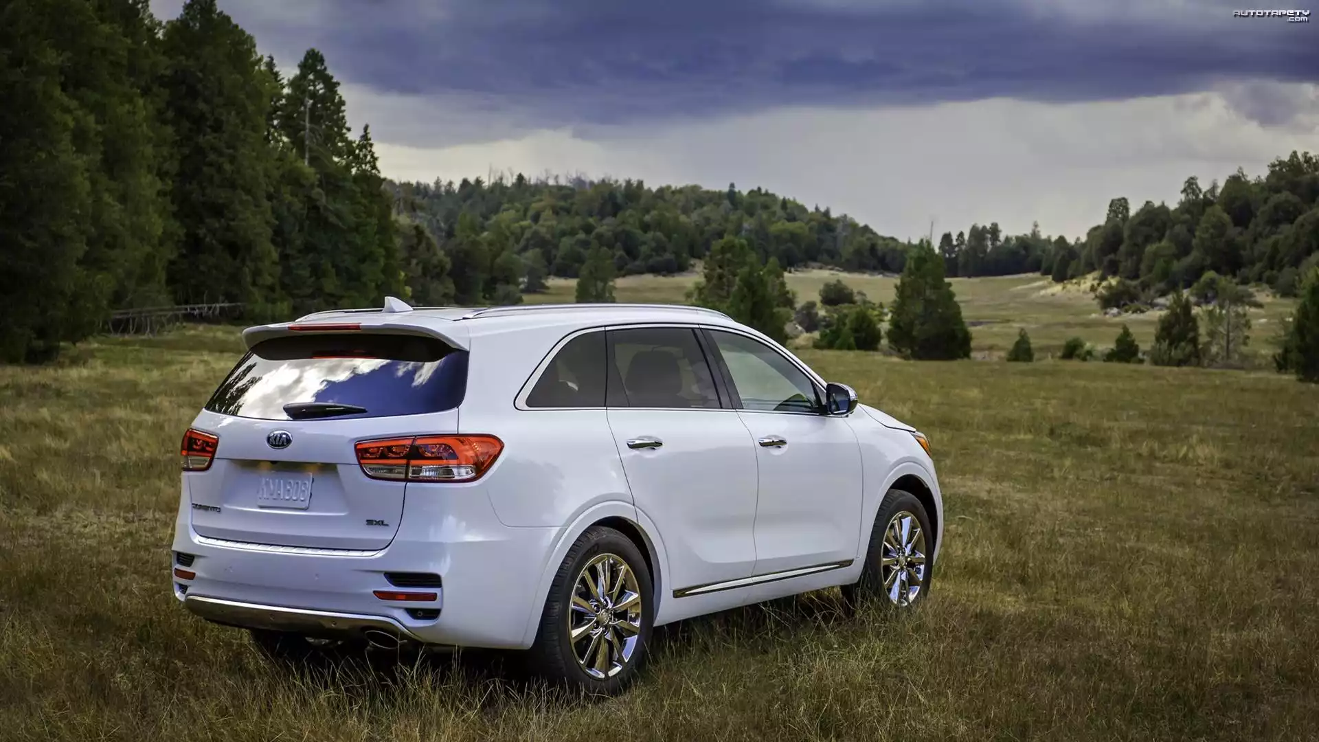 Kia Sorento SXL, Łąka