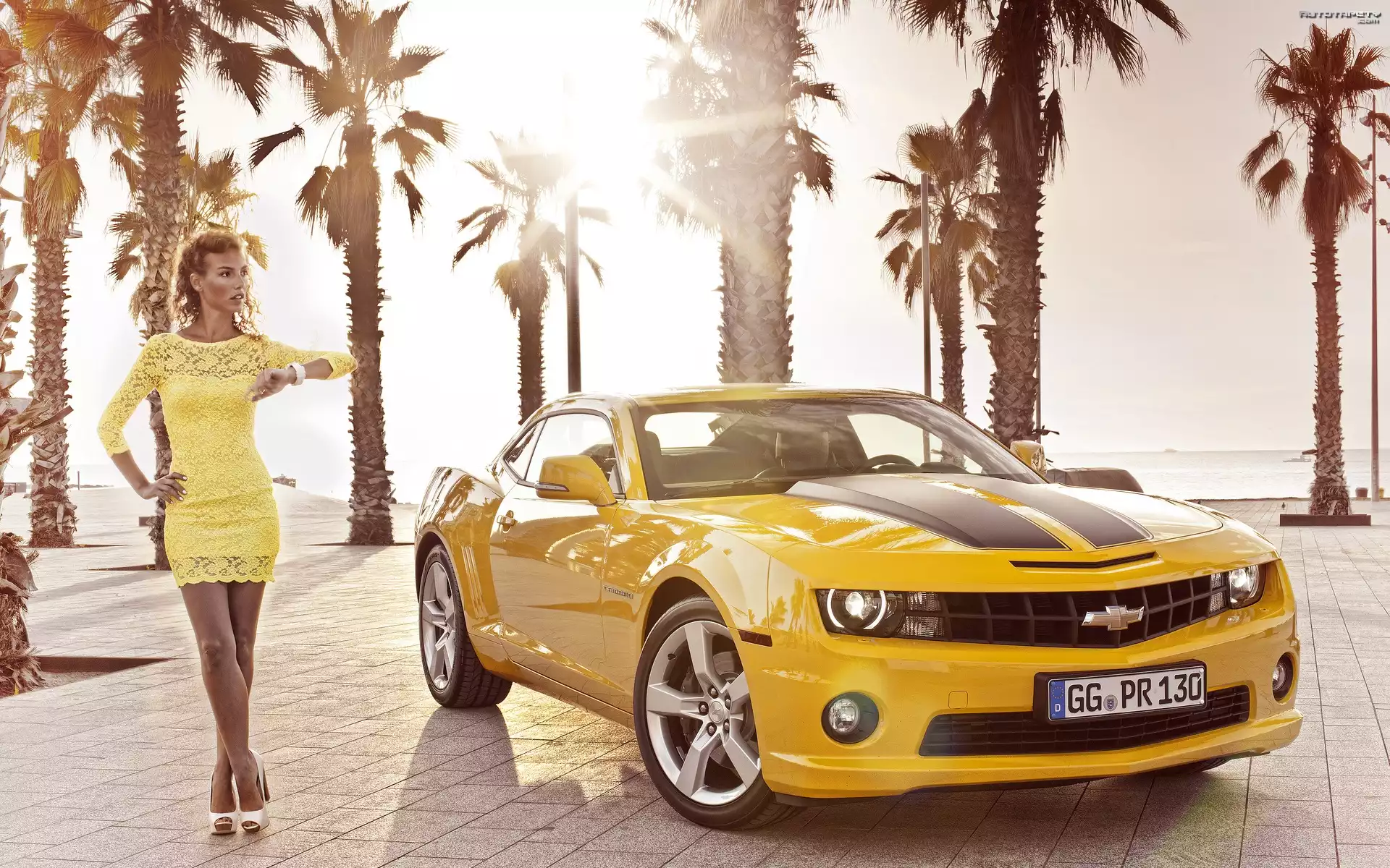 Żółty, Chevrolet Camaro, Kobieta, Palmy