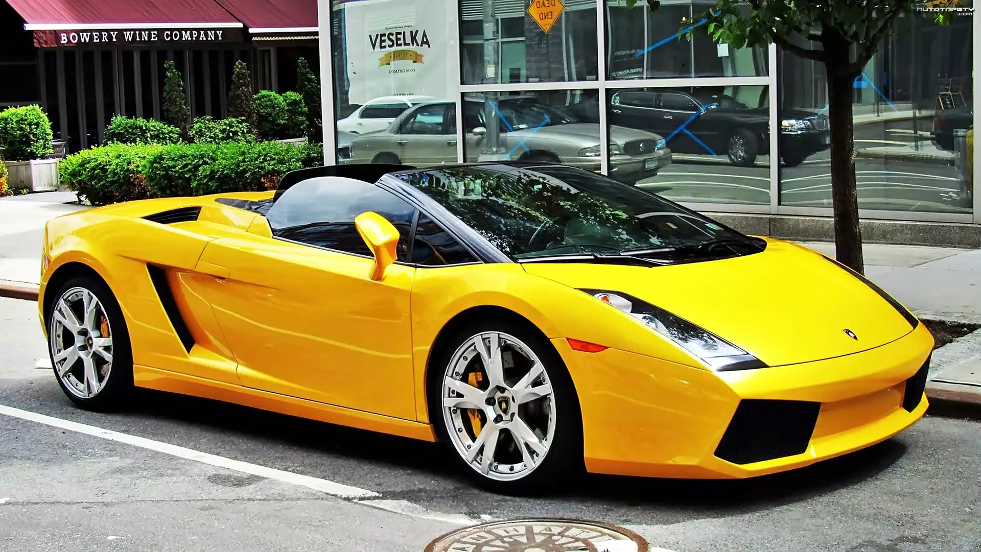 Lamborghini, Gallardo, LP560-4 Spyder