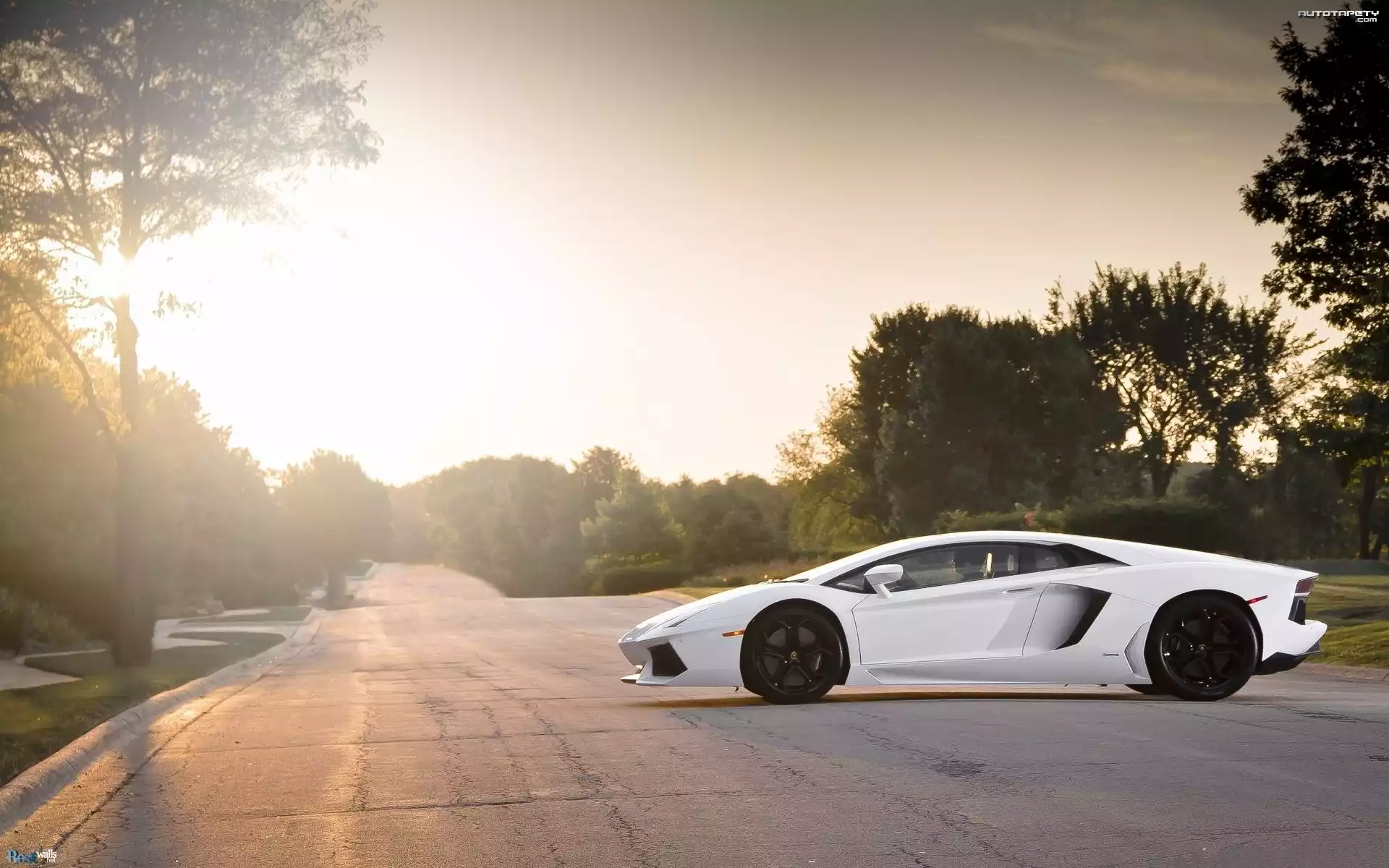 Białe, Lamborghini Aventador