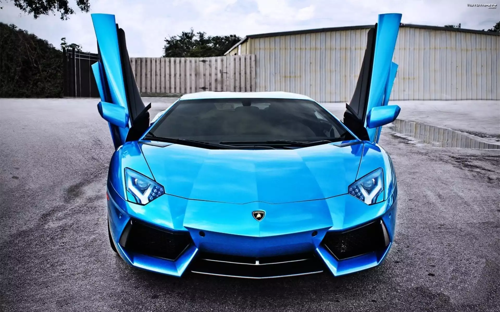 Niebieski, Lamborghini Aventador