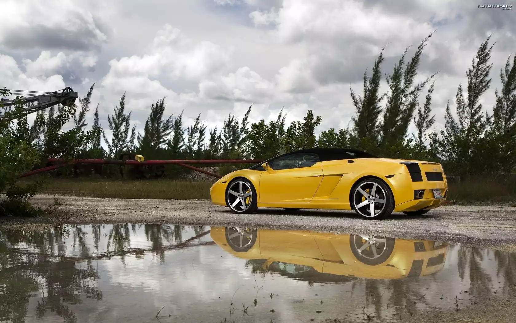 Żółte, Lamborghini, Felgi