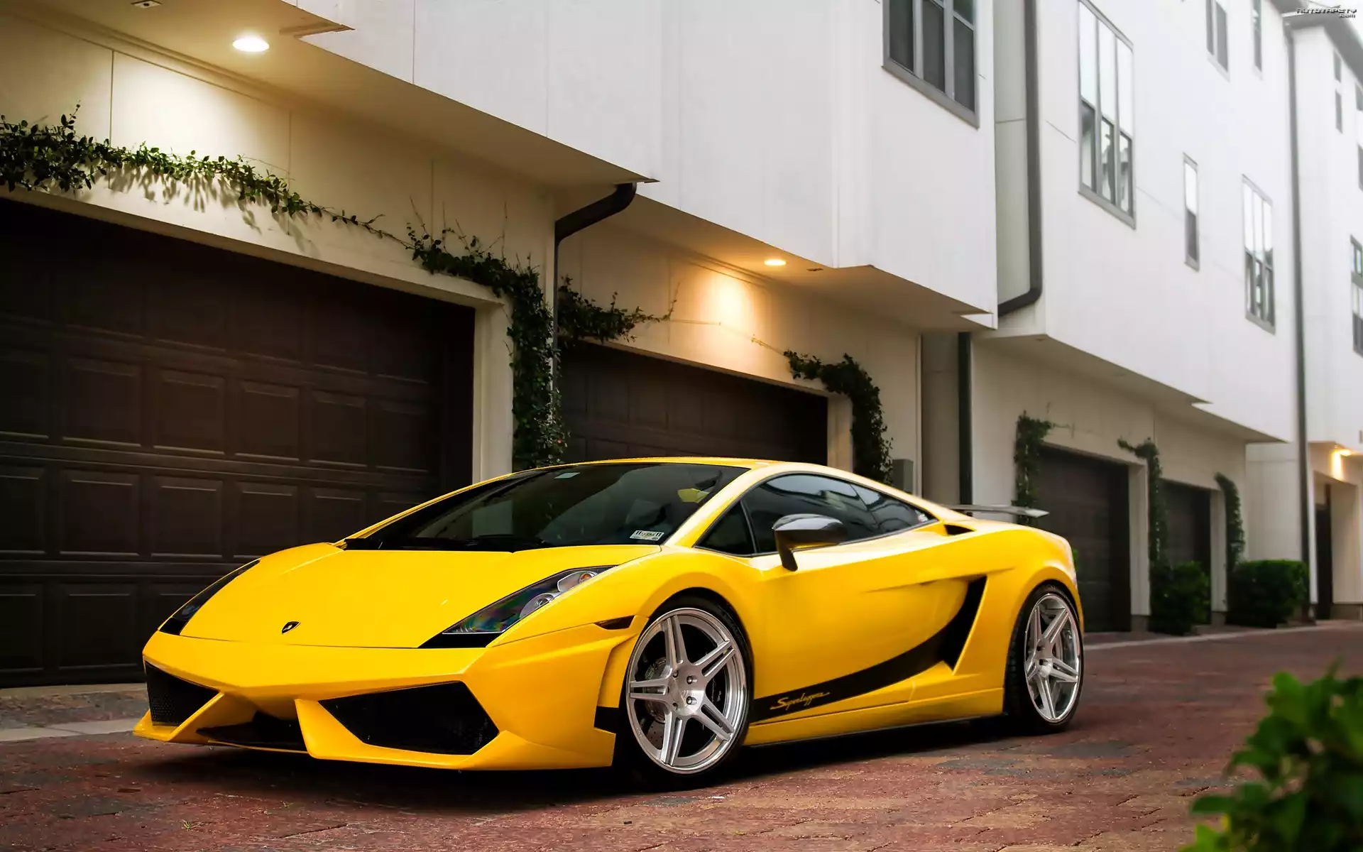 Żółte, Lamborghini, Gallardo