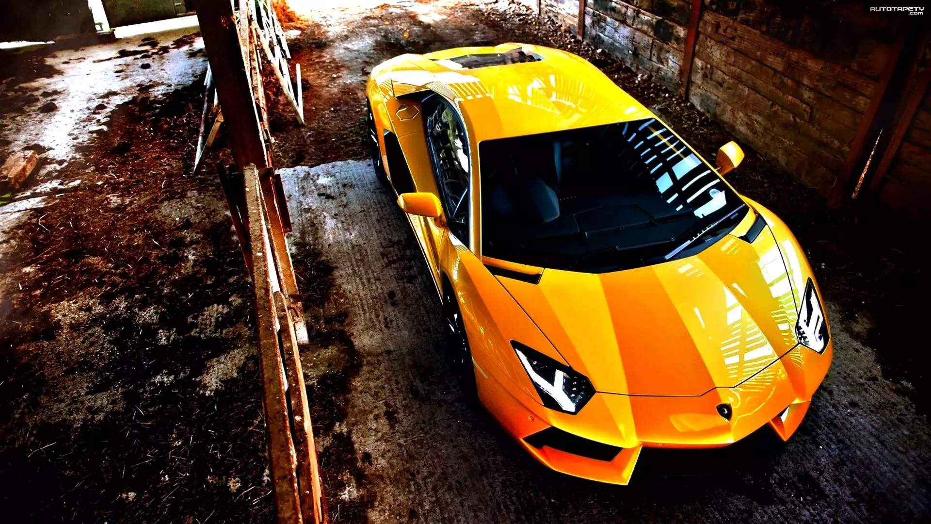 Lamborghini, Aventador, Żółty, Samochód,