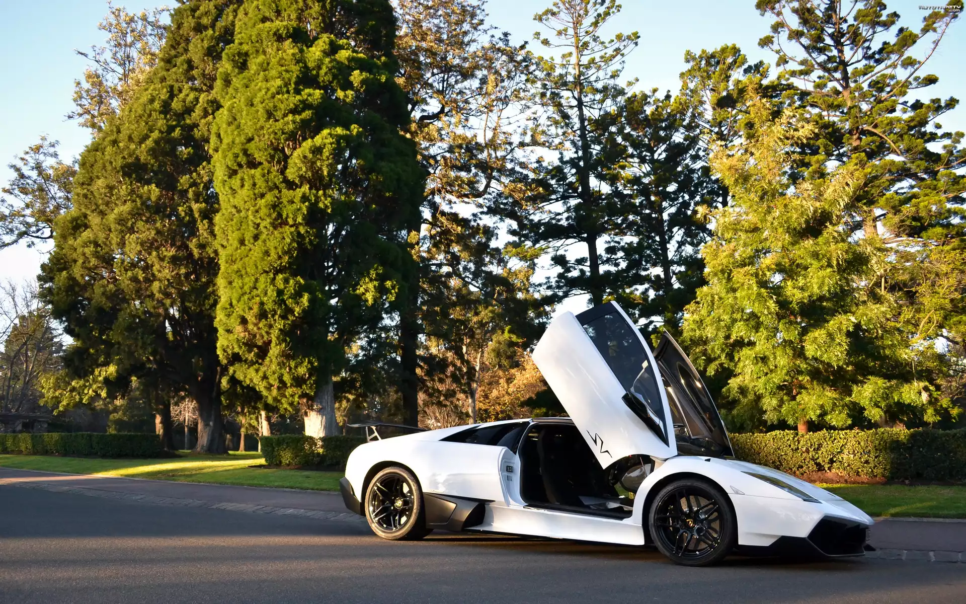 Białe, Lamborgini, Murcielago, LP670-4SV, Ulica, Park