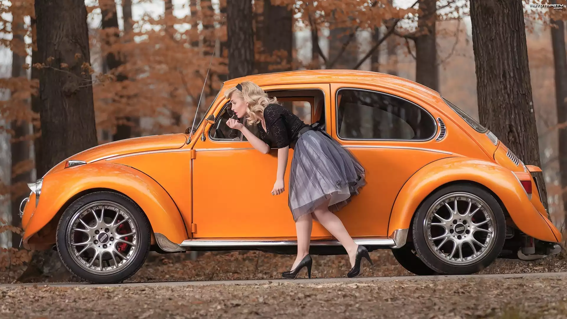 Las, Kobieta, Volkswagen, Garbus