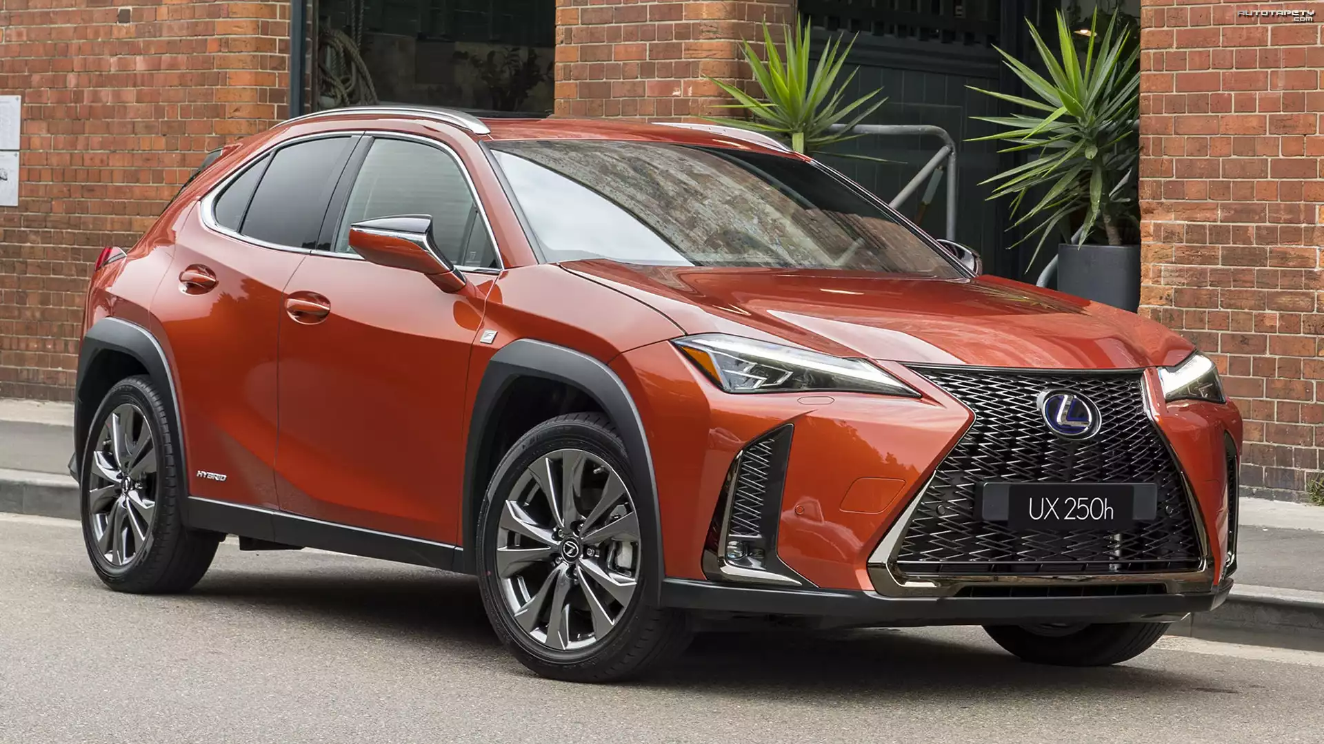 Lexus UX, Hybryda, , Czerwony