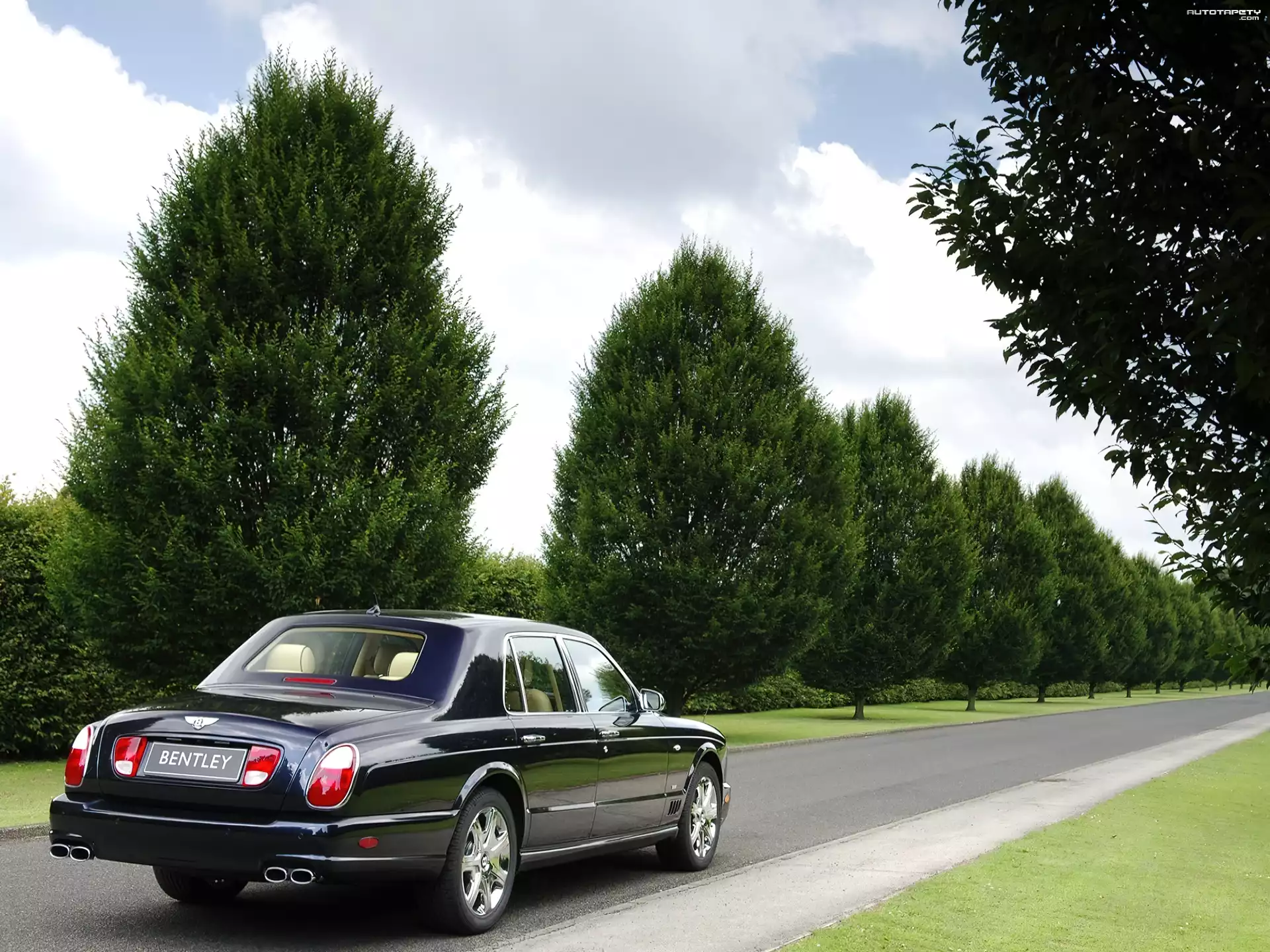 Limuzyna, Bentley Arnage Blue Train Series