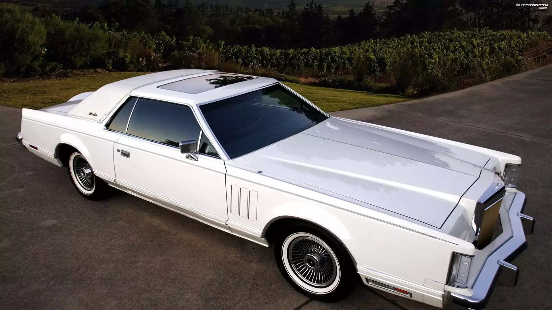 Lincoln, Continental, Mark V, Droga, Drzewa