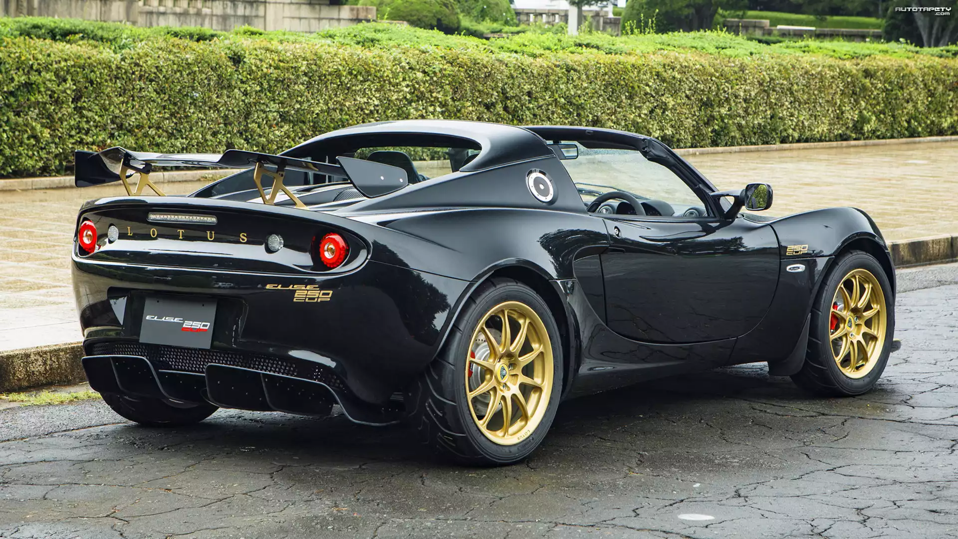 Lotus Elise Cup 250