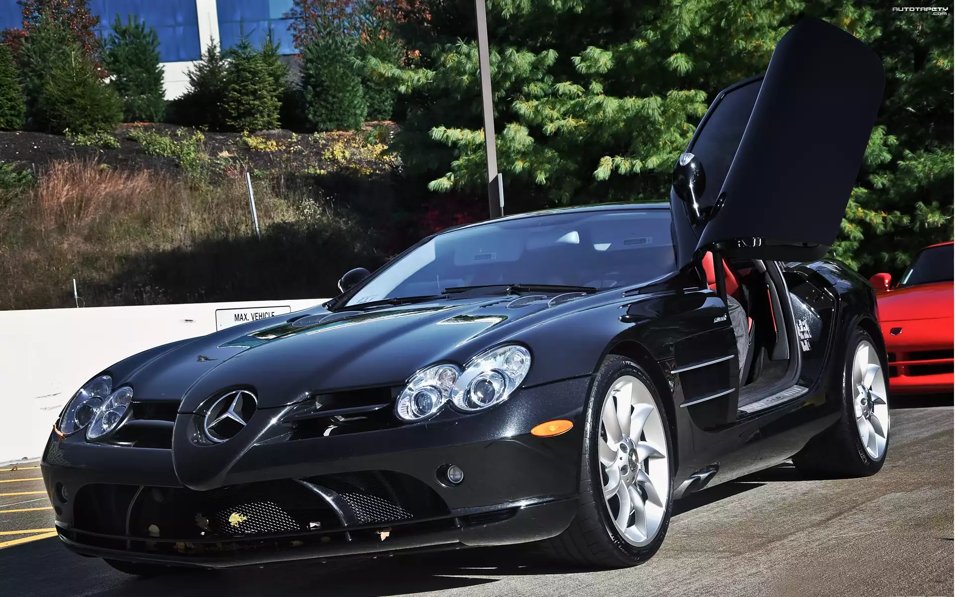 Mercedes Benz SLR McLaren, Ulica, Drzewa