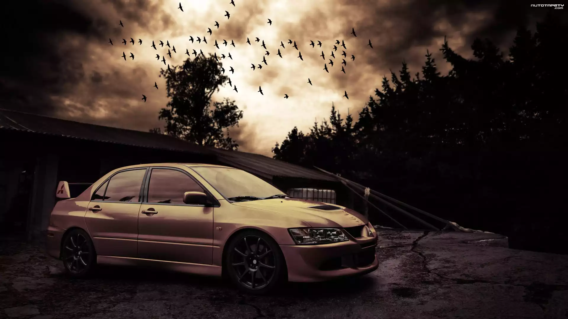 Mitsubishi, Lancer, Evo VIII