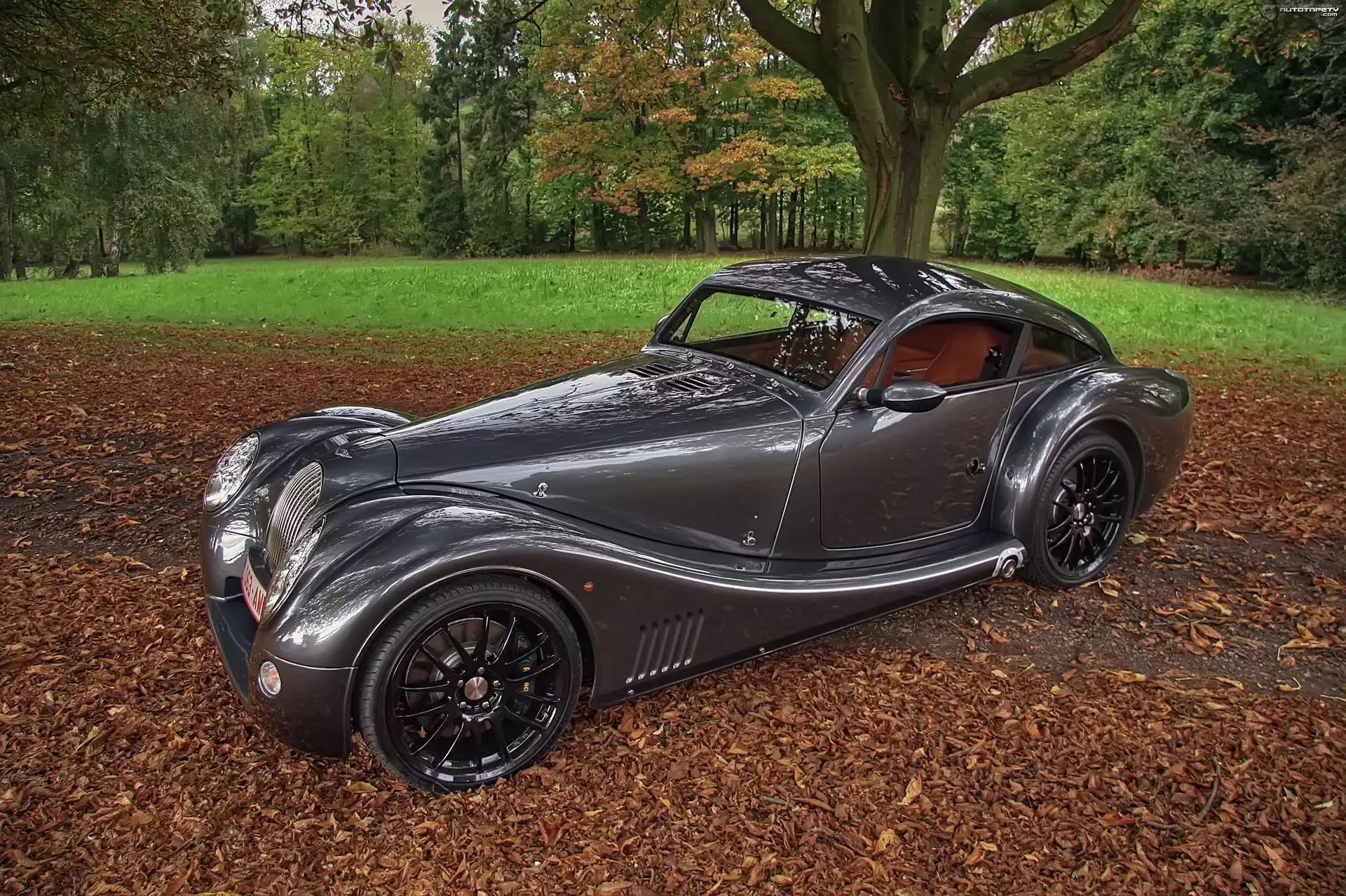 Morgan Aero 8, Park, Liście