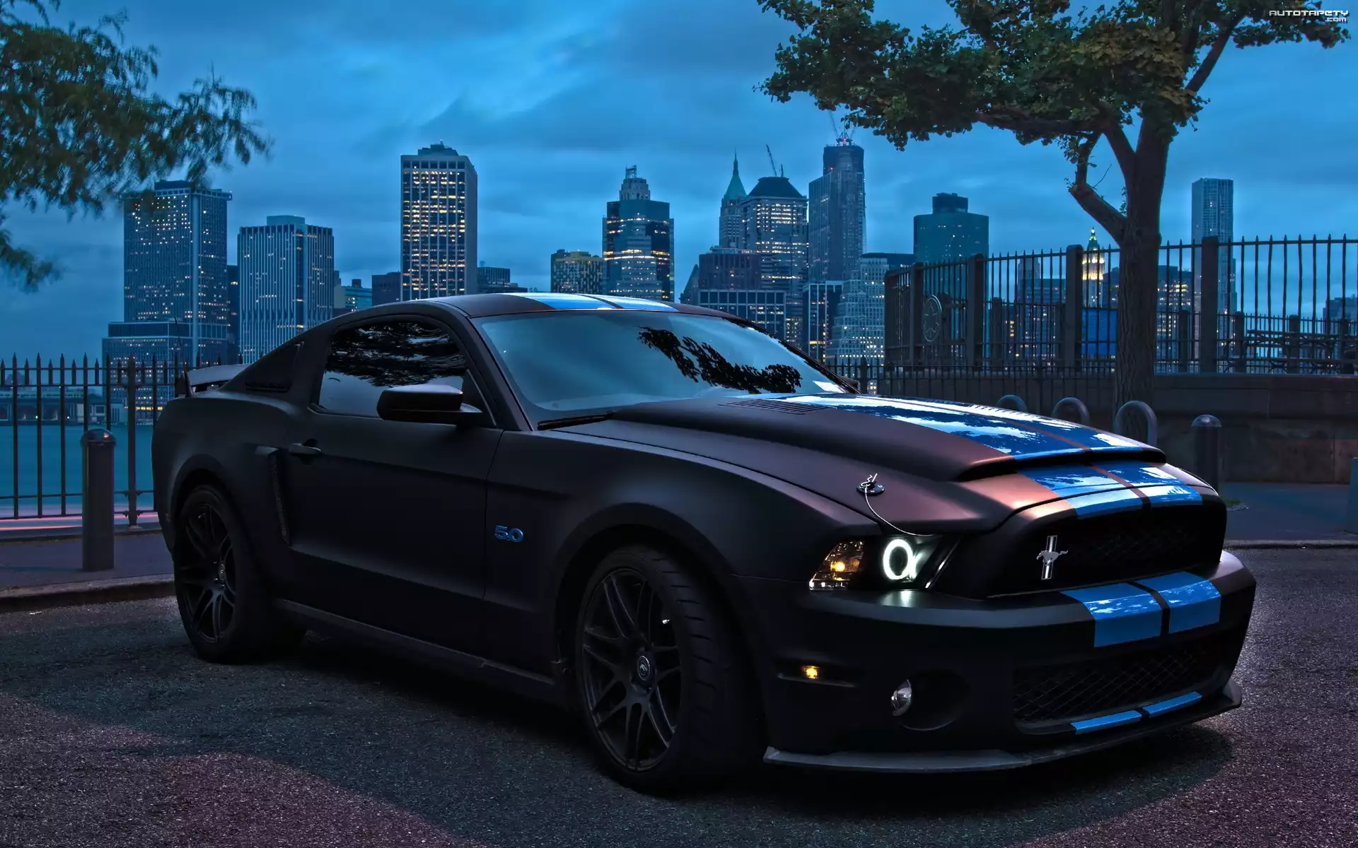 Ford Mustang, Parking