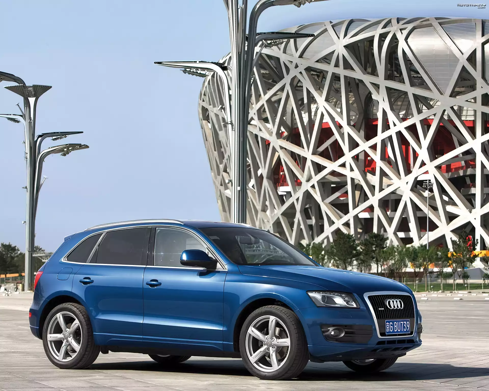 Niebieskie, Audi Q5, SUV