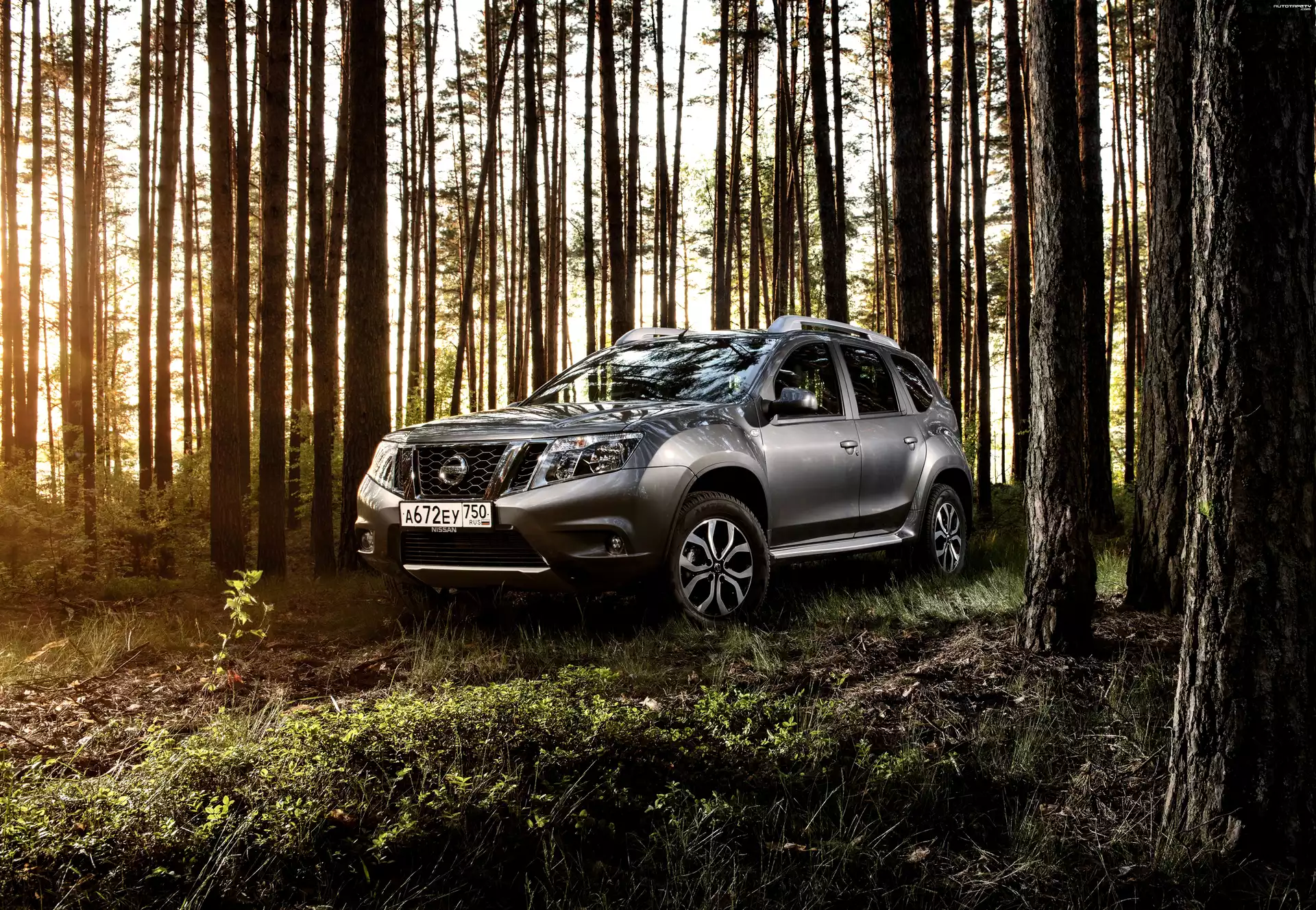Nissan Terrano, 2016, Drzewa