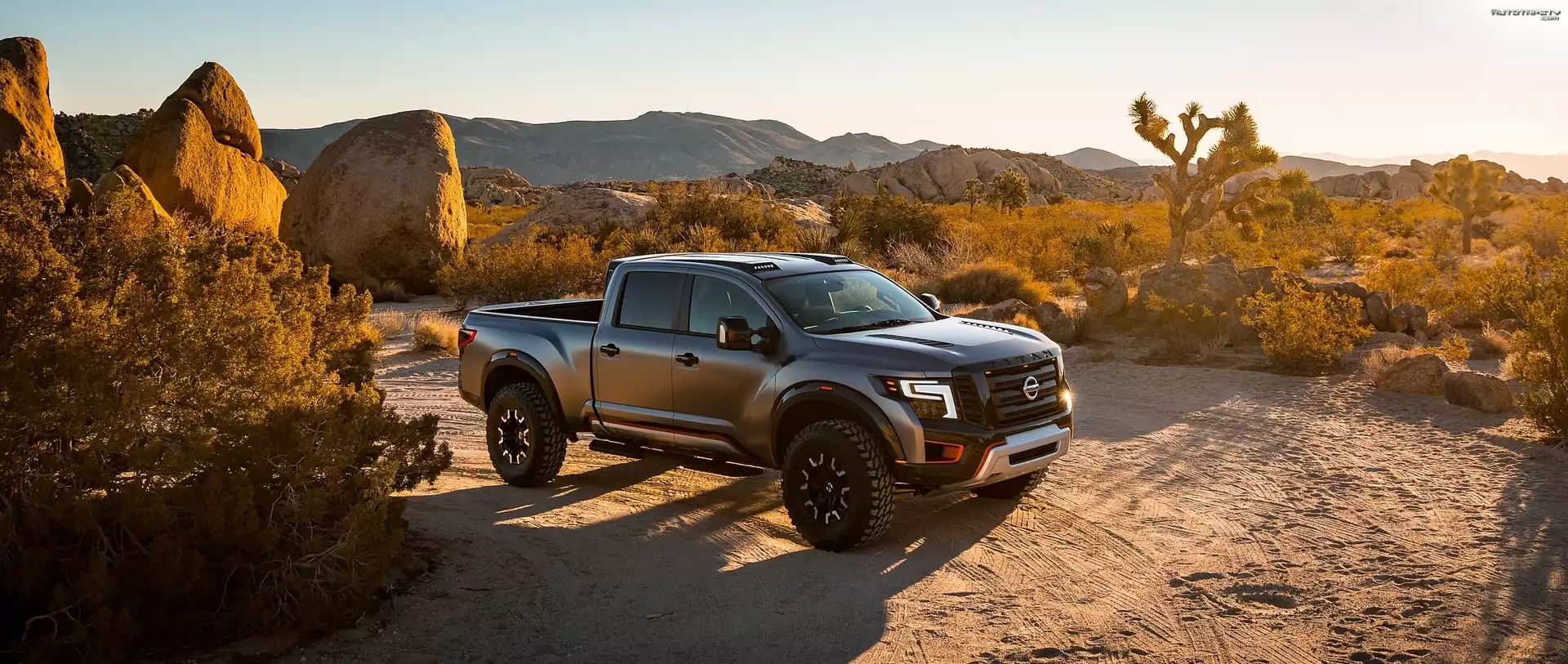 Nissan, Titan Warrior, Kamienie, Rosliny