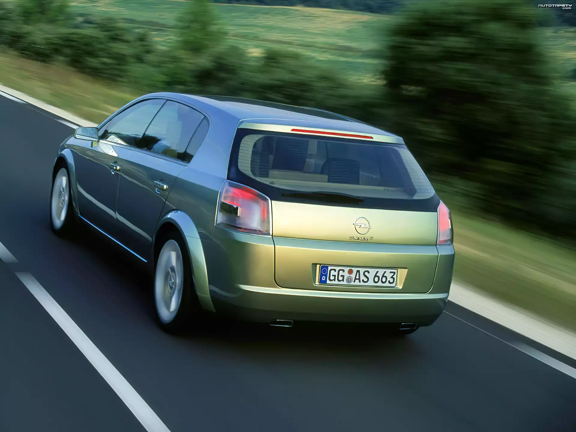 Opel Signum