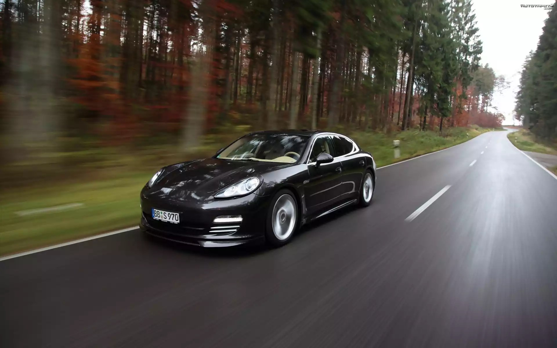Porsche Panamera TechArt Concept, 2010, Droga, Las