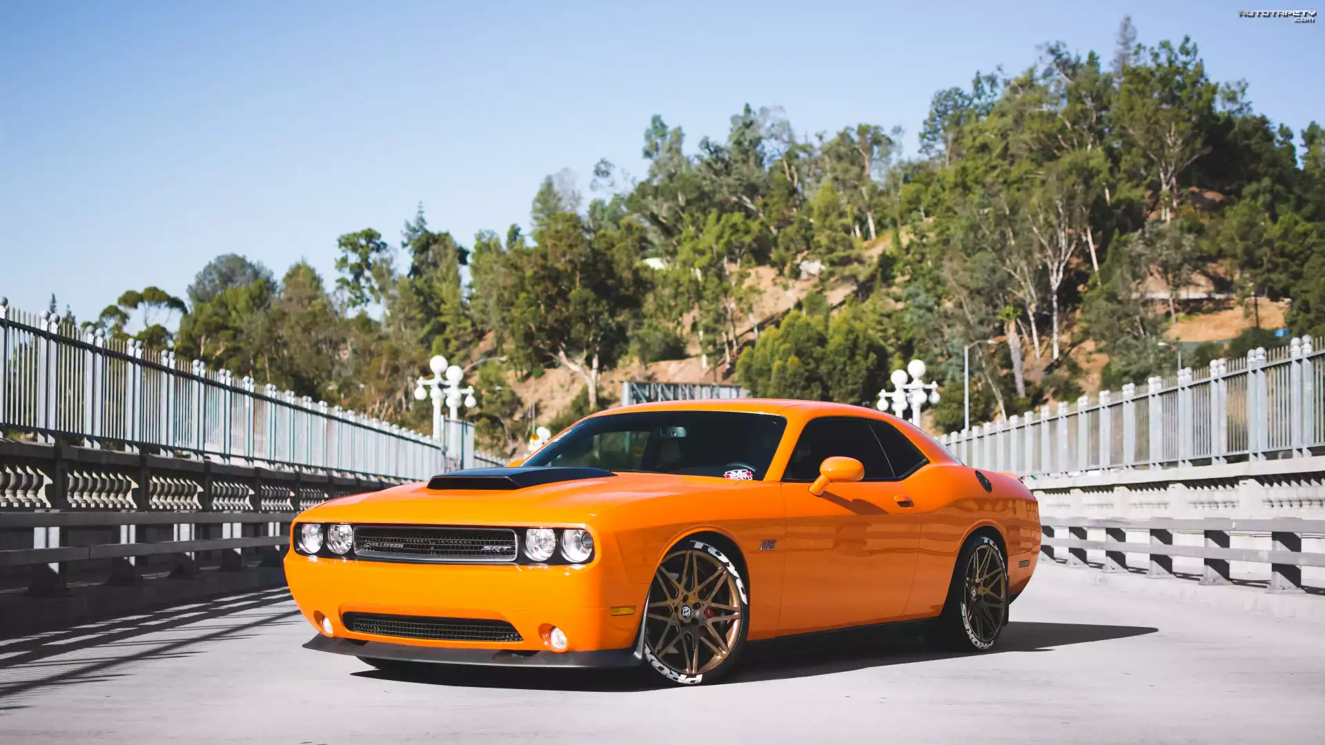 Pomarańczowy, Dodge Challenger SRT Hellcat