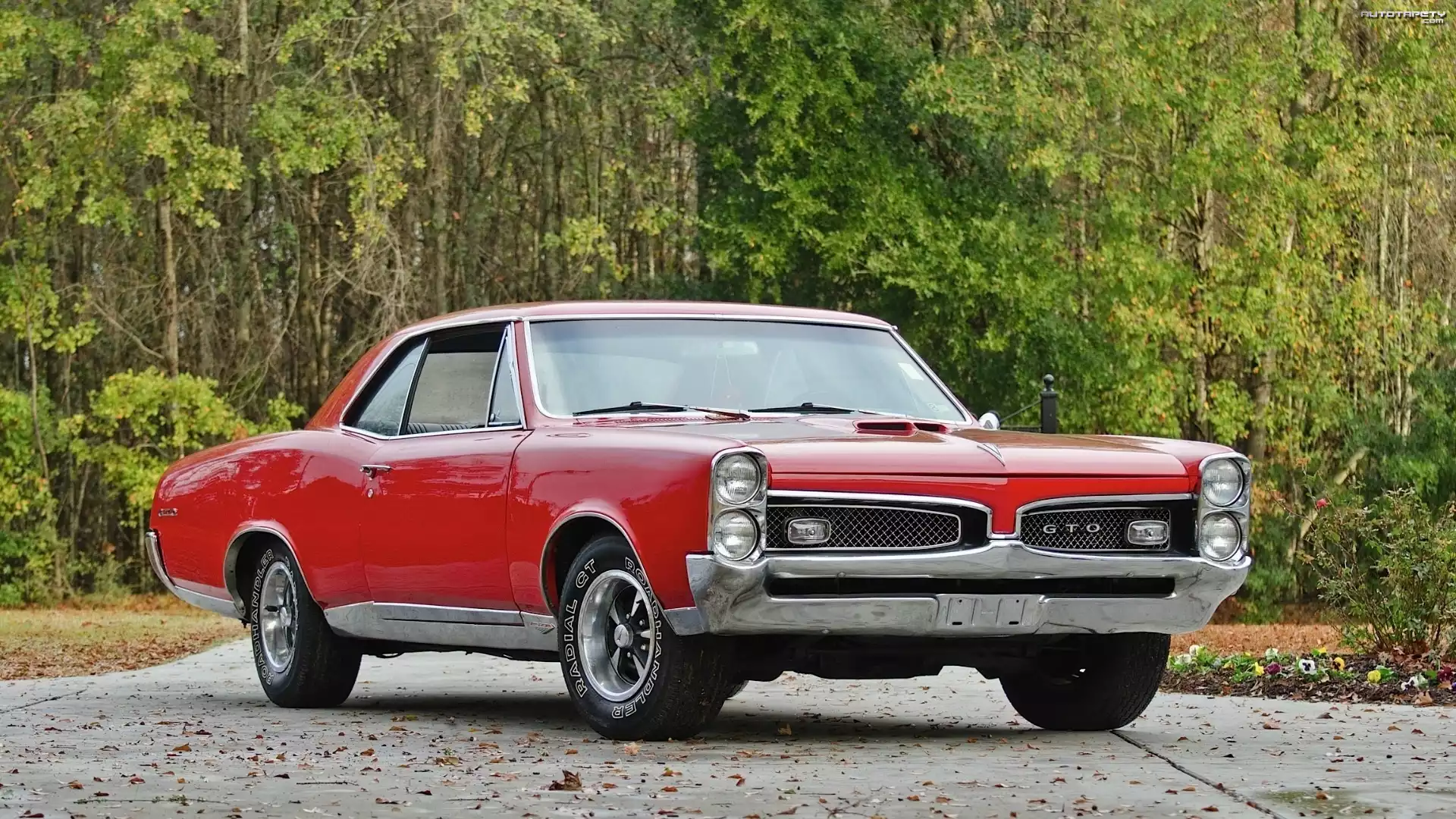 Pontiac, Samochód, Czerwony, GTO, 1967, Zabytek