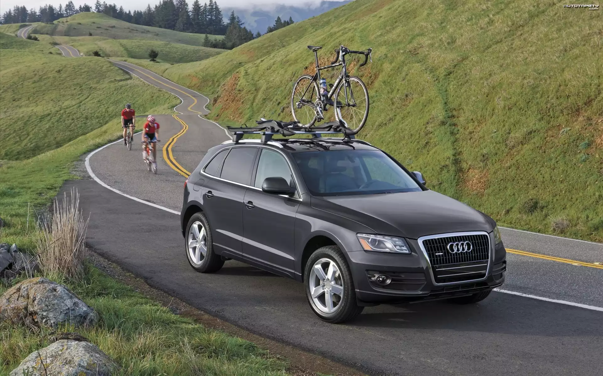 Audi Q5, Rowery