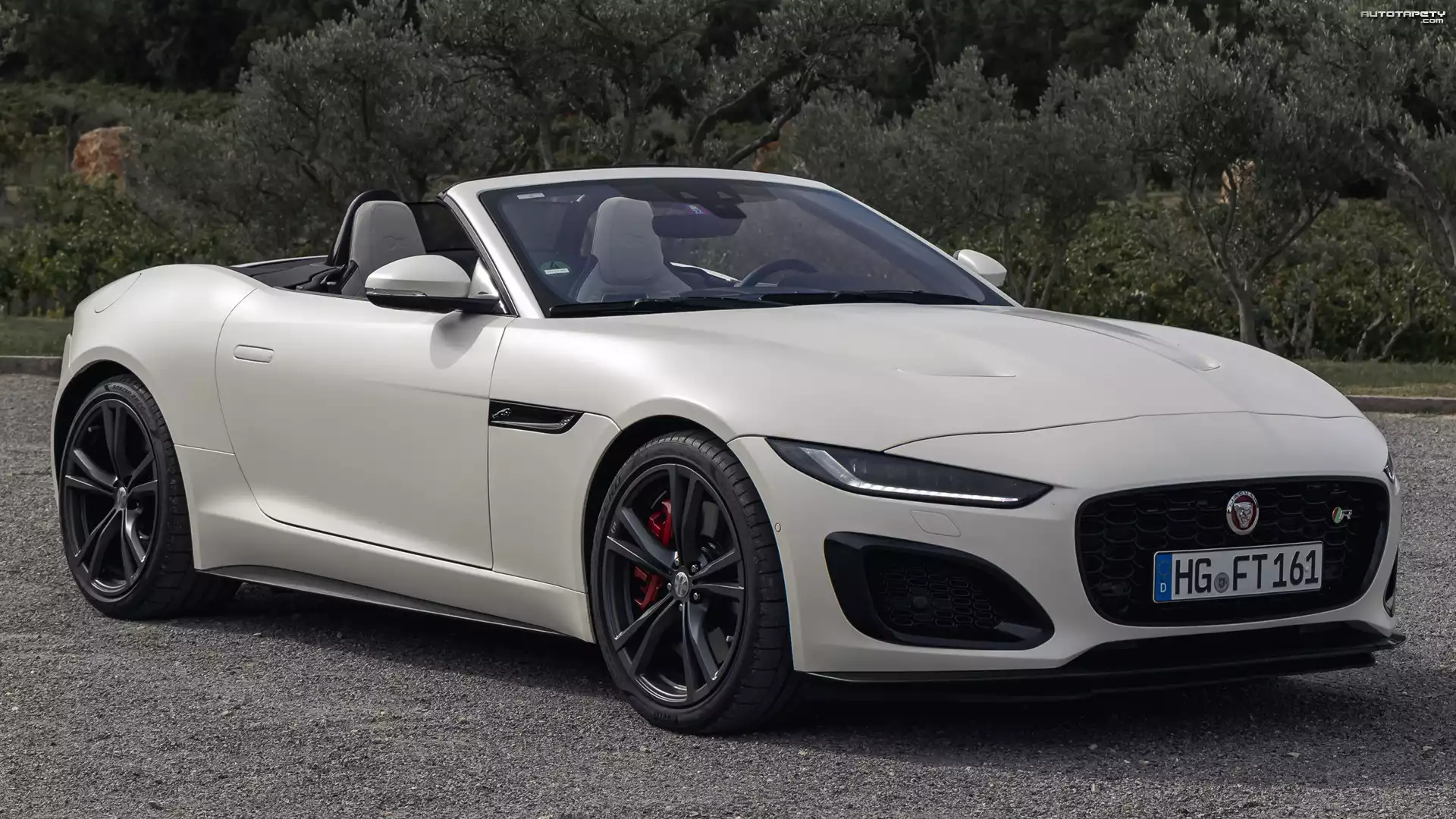 Jaguar F-Type R, Cabrio, Alpine