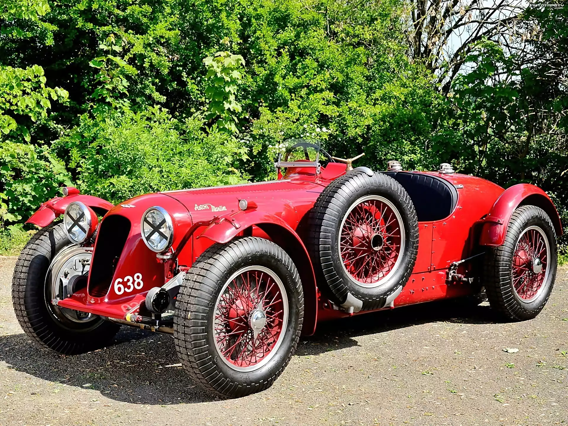 Retro, Aston, Martin, 1939, Roślinność