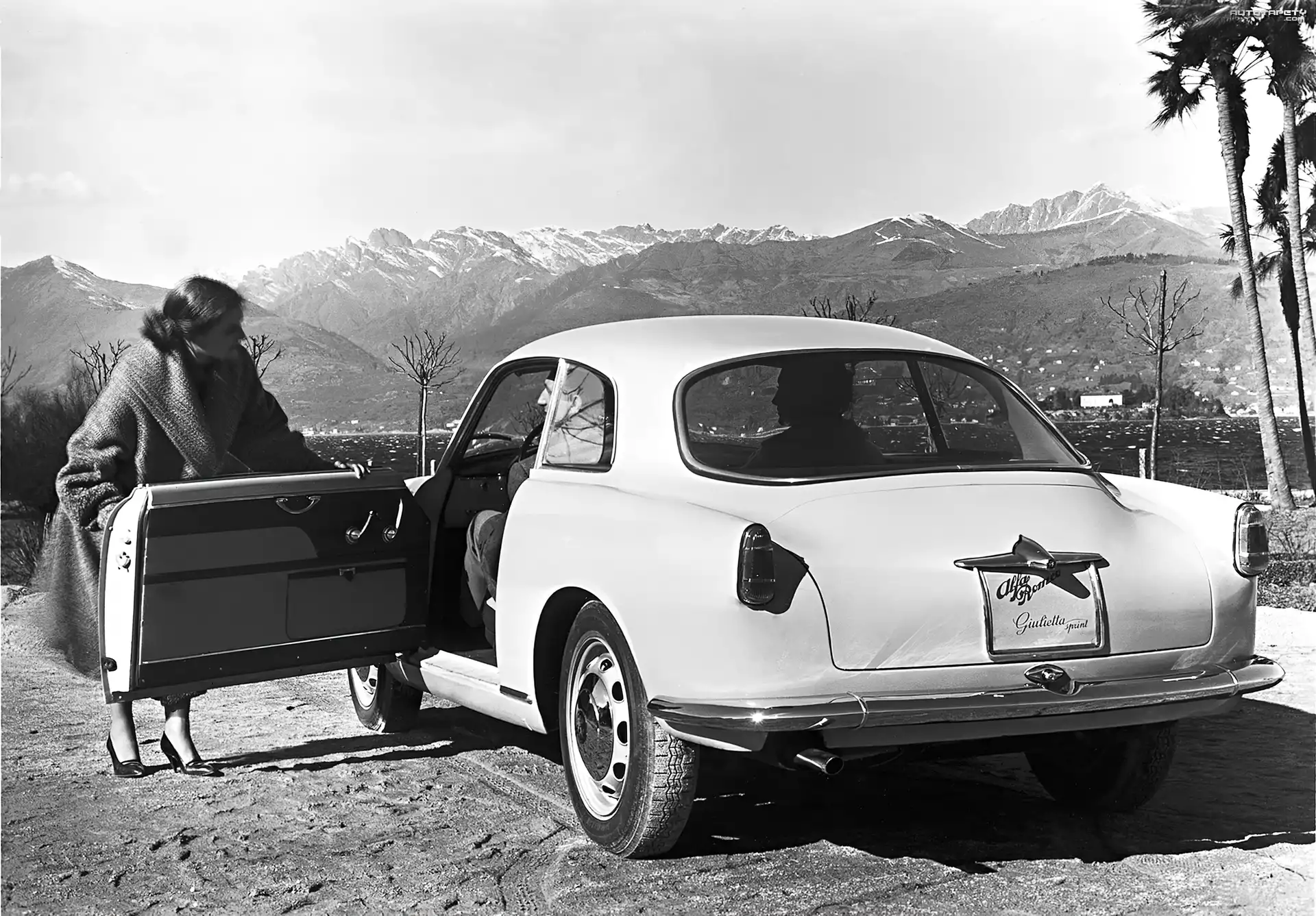Alfa Romeo,drzwi