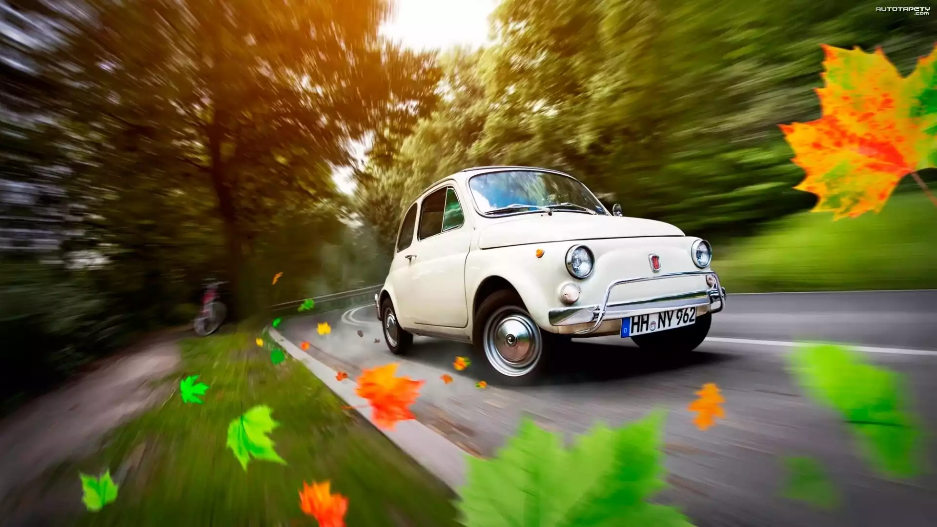 Biały, Samochód, Fiat, 500, Droga, Liście, Jesień