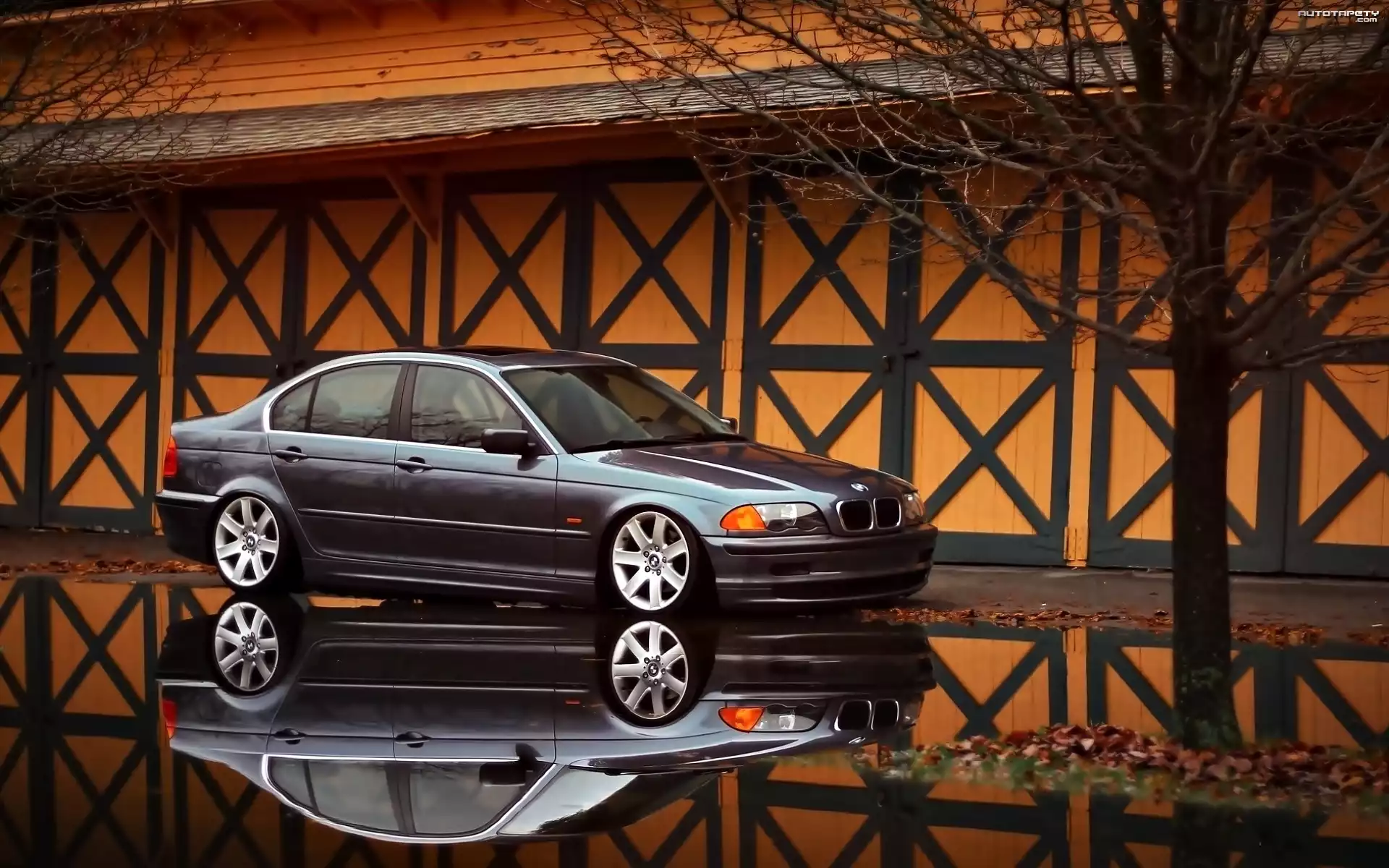 Samochód, BMW, E46, Odbicie