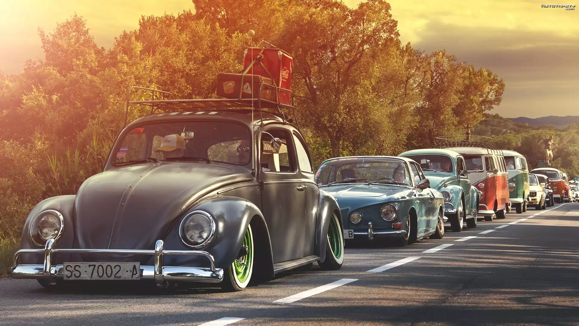 Samochody, Retro, Droga, Drzewa