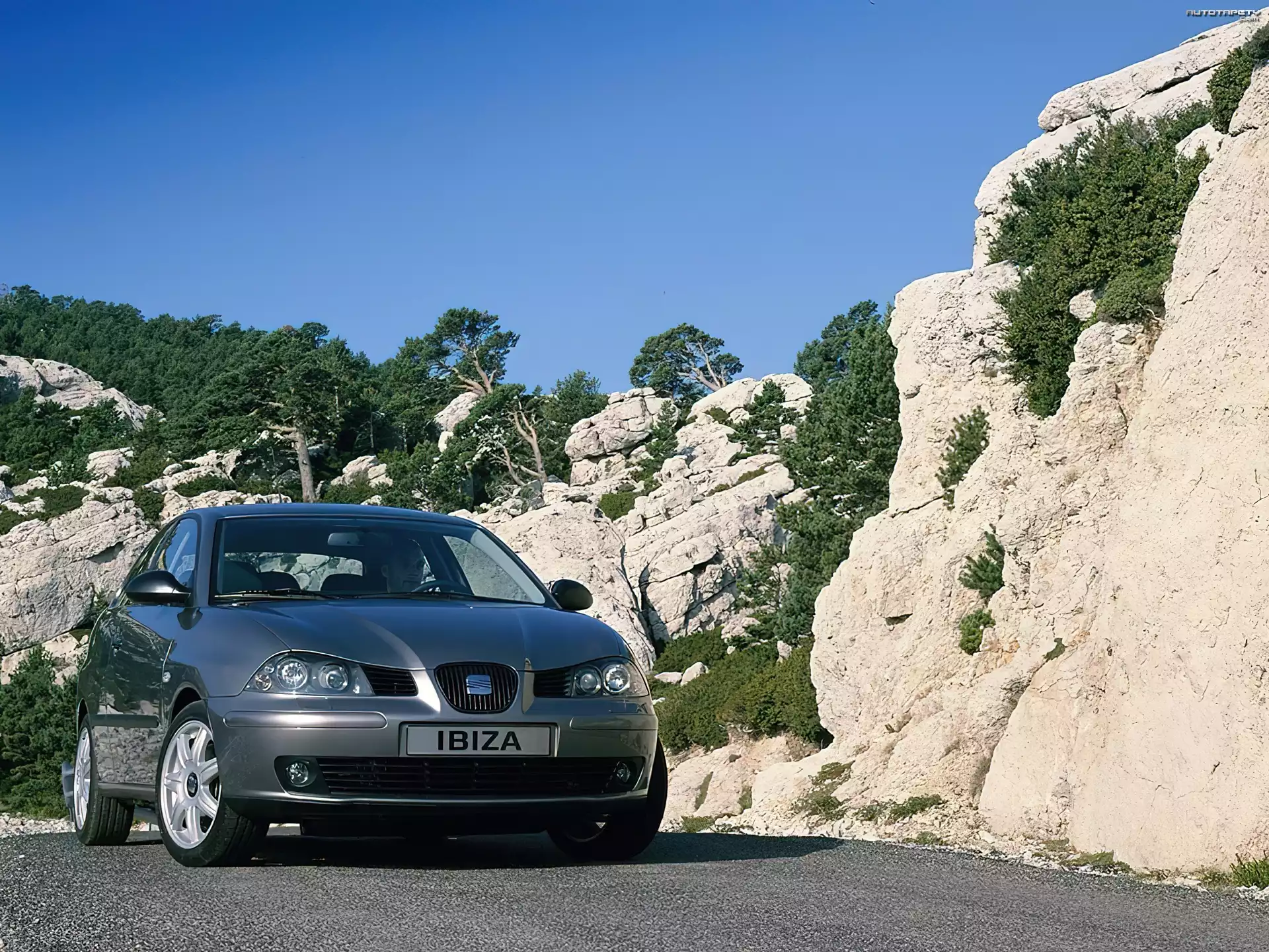 Nowy Seat Ibiza