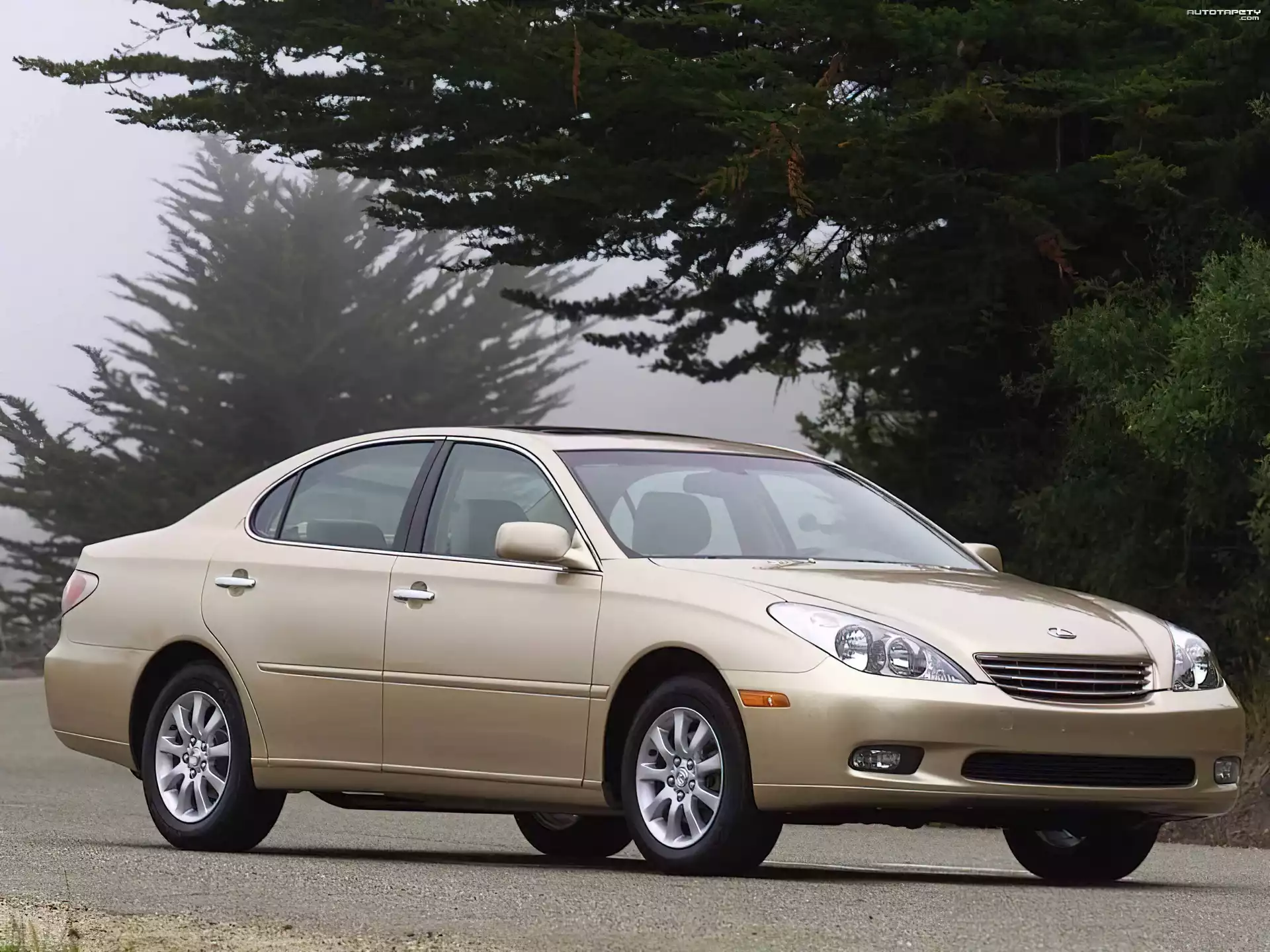 Lexus Seria ES
