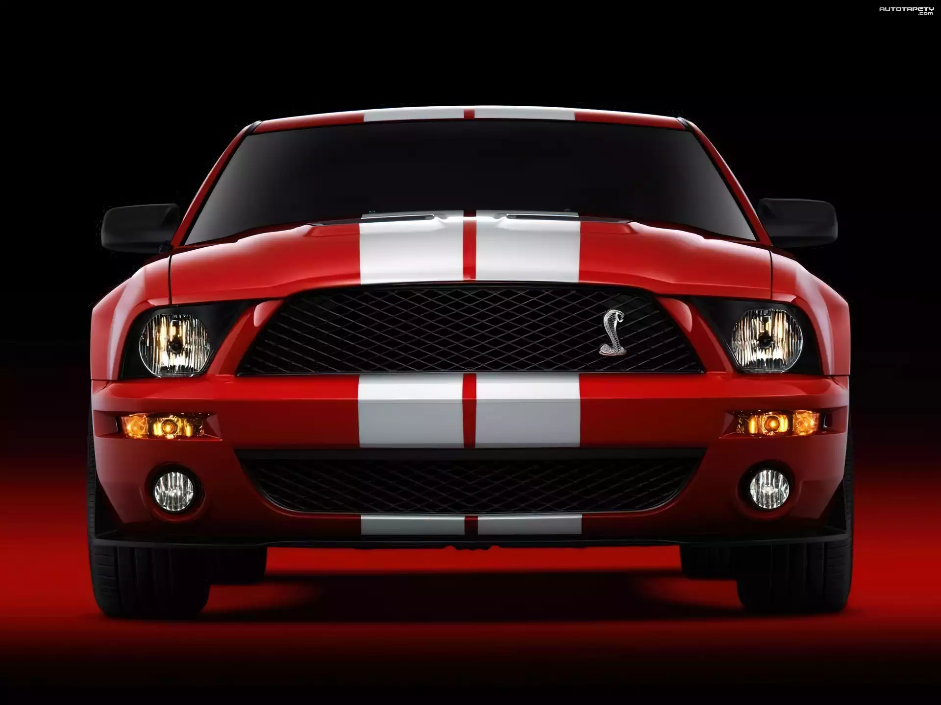 Shelby, Ford Mustang, Czerwony, Halogeny