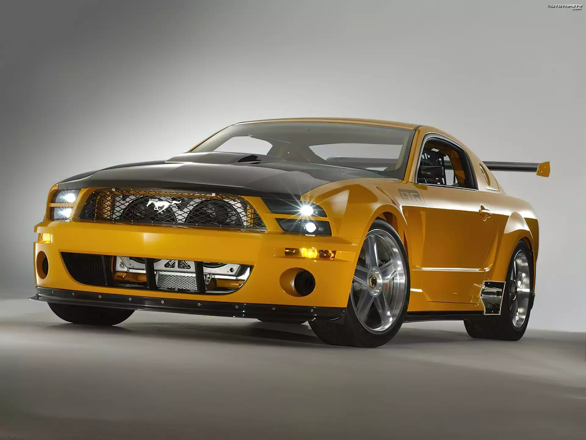 Shelby, GTR