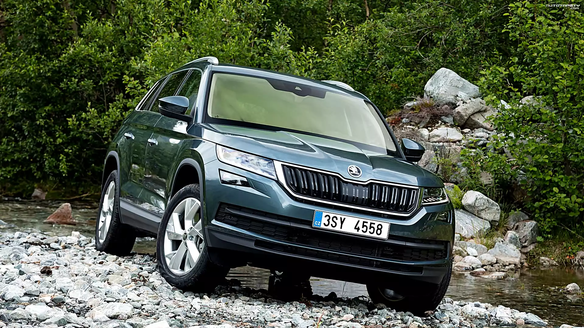 Skoda Kodiaq, 2017, Kamienie