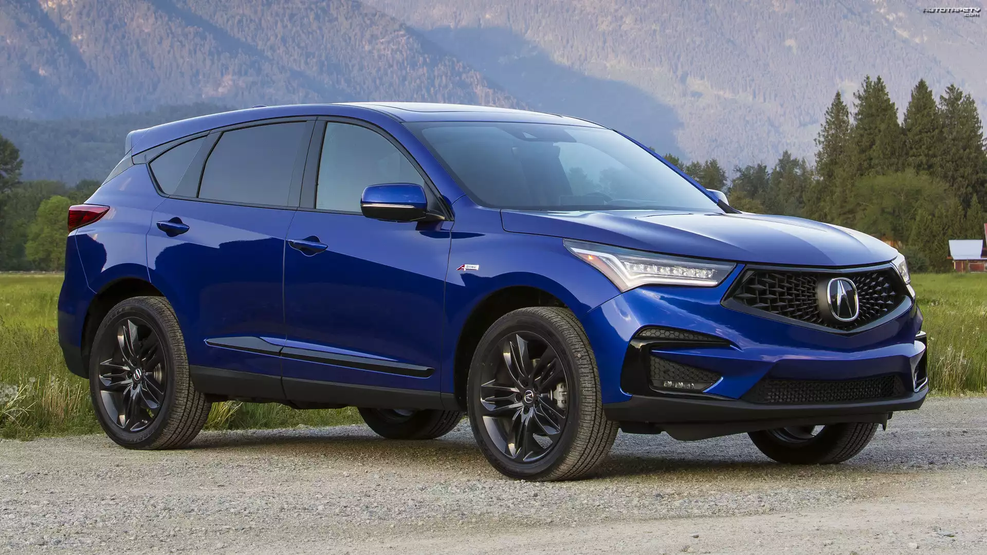 Acura RDX A-Spec