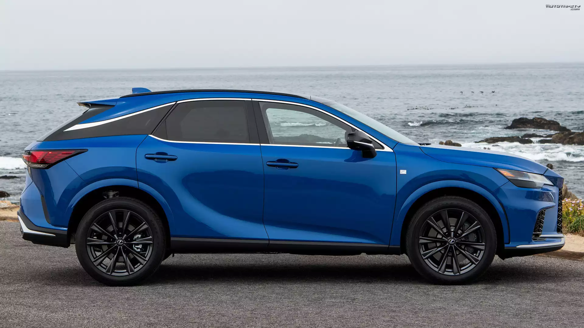 Lexus RX F Sport